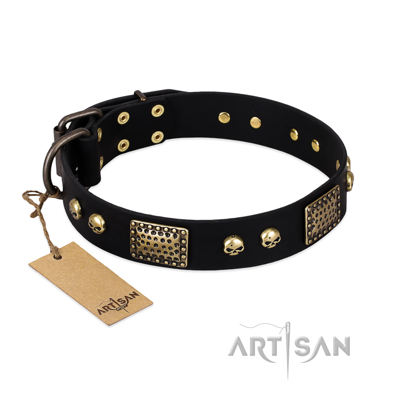 "Biker Style" FDT Artisan Black Leather Sharpei Collar with Old Bronze Look Plates and Skulls