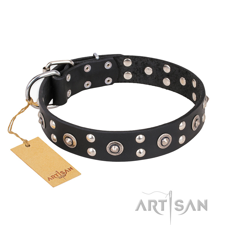 "Refined Essence" FDT Artisan Black Leather Sharpei Collar with Silvery Studs