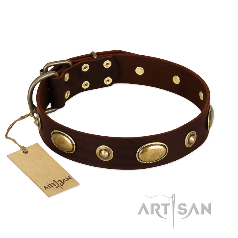 "Hebe's Jewel" FDT Artisan Brown Genuine Leather Sharpei Collar