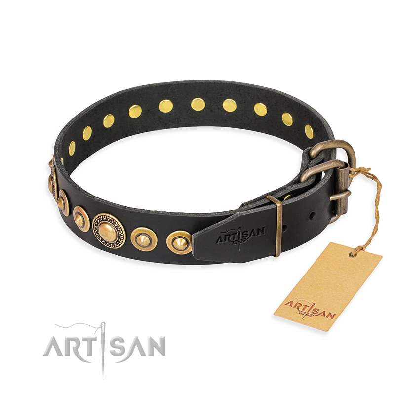 "Gold Mine" FDT Artisan Black Leather Sharpei Collar with Amazing Bronze-Plated Round Studs
