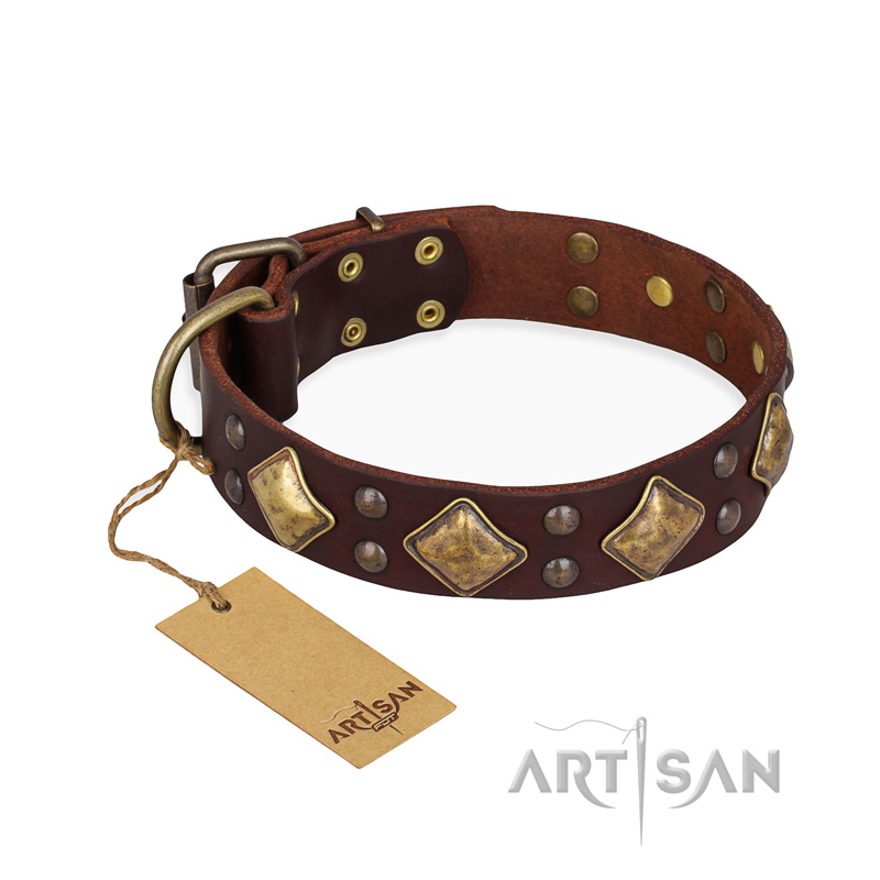 "Golden Square" FDT Artisan Brown Leather Sharpei Collar with Large Squares