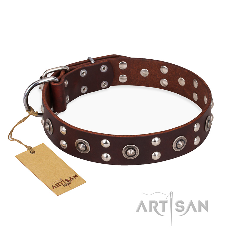 "Pirate Treasure" FDT Artisan Exciting Brown Leather Sharpei Collar with Studs