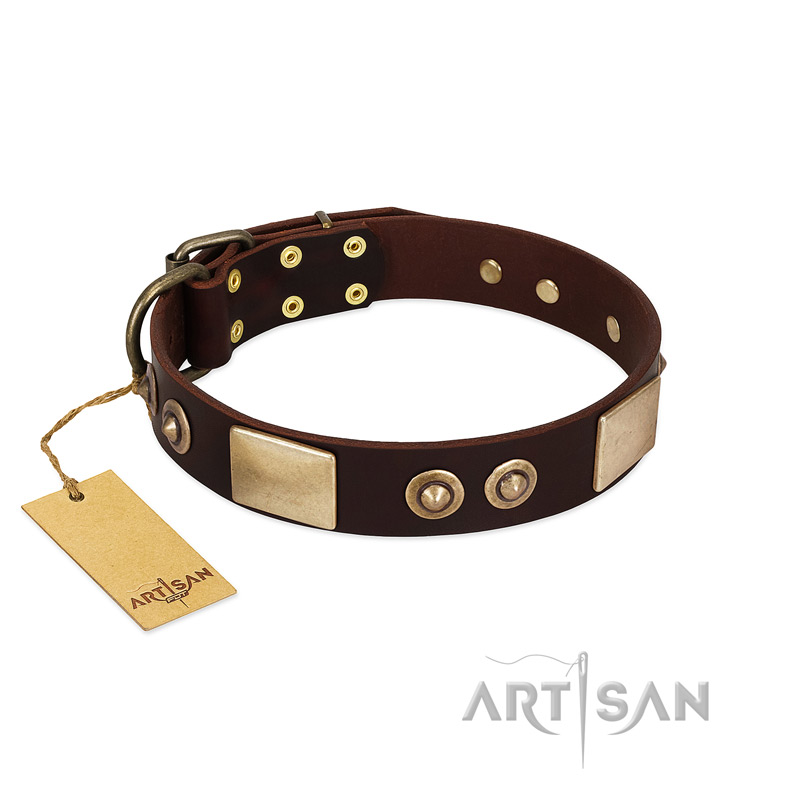 "Sense of Freedom" FDT Artisan Brown Leather Sharpei Collar with Old Bronze-Plated Studs and Plates