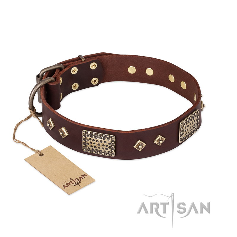 "Loving Owner" FDT Artisan Decorated Leather Sharpei Collar with Plates and Studs