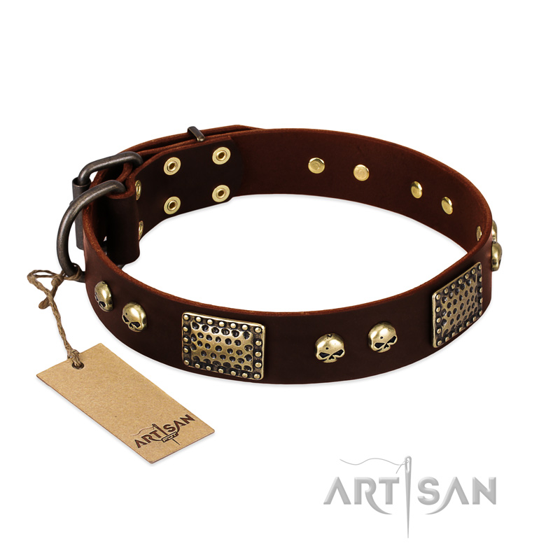 "Magic Amulet" Brown Leather Sharpei Collar with Skulls and Plates