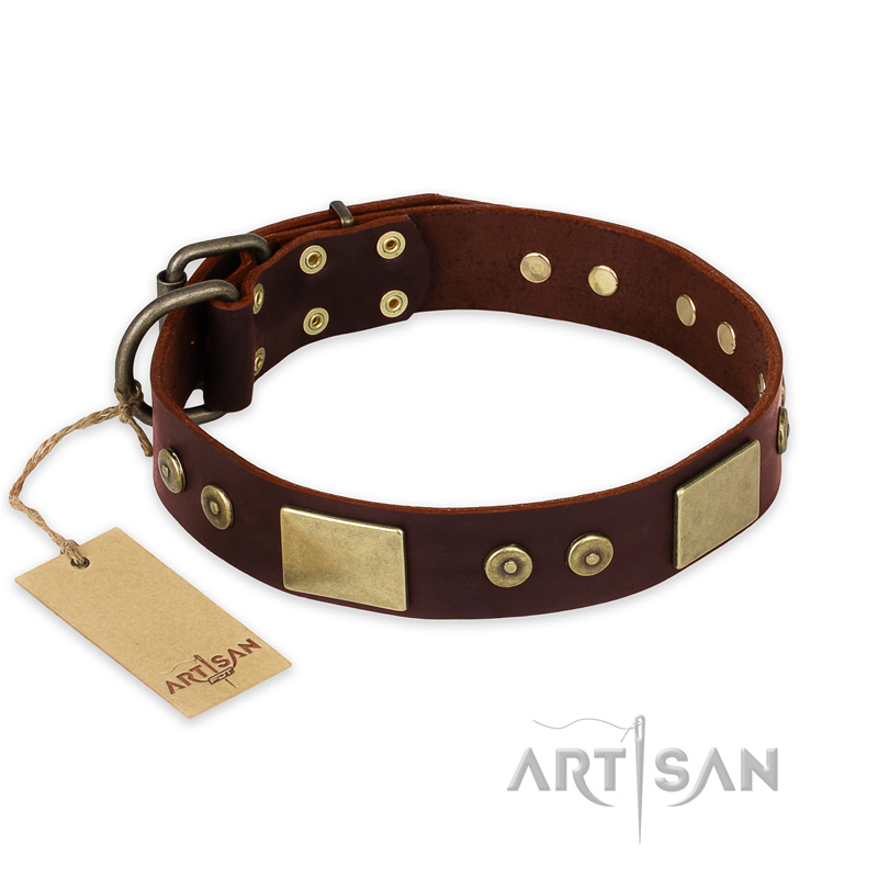 "Shining Armour" FDT Artisan Brown Leather Sharpei Collar with Decorations