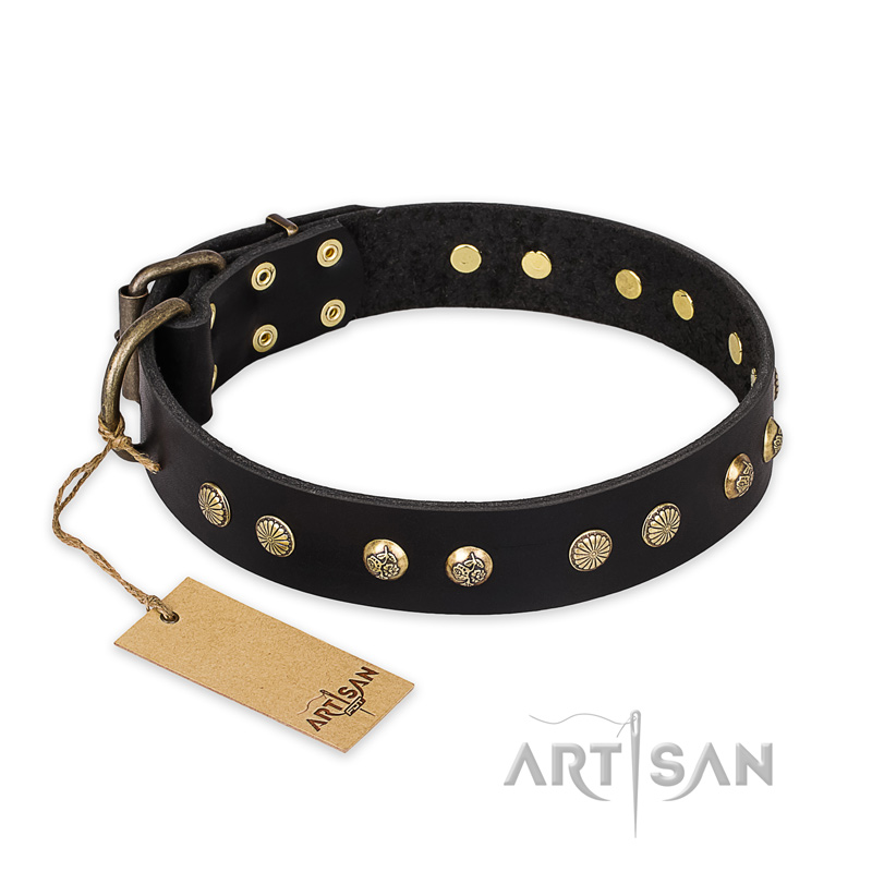 "Black Elegance" FDT Artisan Leather Sharpei Collar with Round Studs
