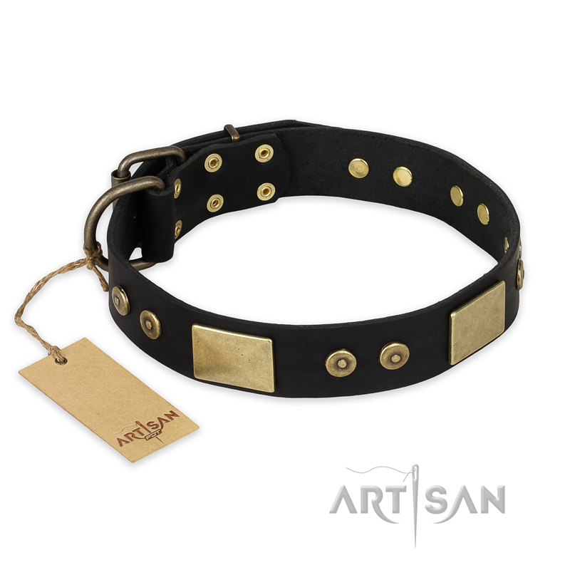 "Spanish night" FDT Artisan Fashionable Leather Walking Sharpei Collar