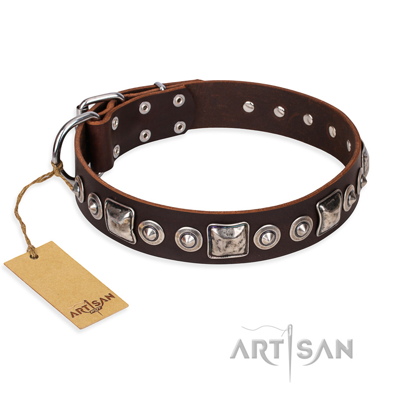 "Pierian spring" FDT Artisan Brown Leather Sharpei Collar with Silvery Decorations