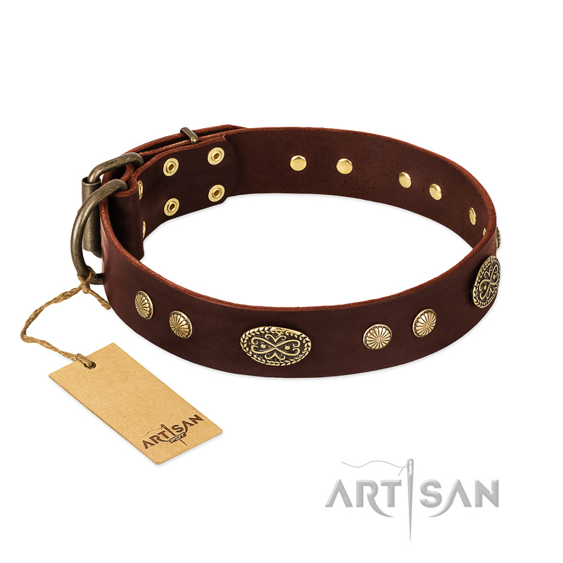 "Old-fashioned Glamor" FDT Artisan Brown Leather Sharpei Collar with Old Bronze Look Plates and Circles