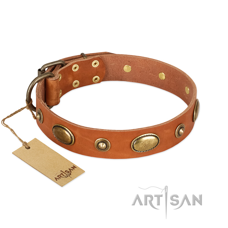 "Visual Magic" FDT Artisan Tan Leather Sharpei Collar for Daily Activities