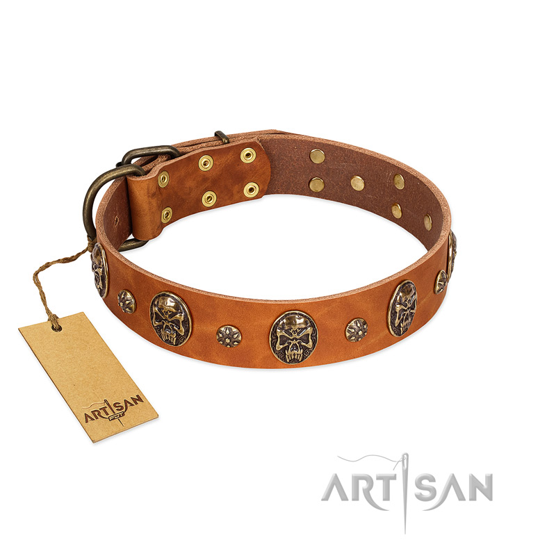 "Rockstar" FDT Artisan Tan Leather Sharpei Collar with Engraved Studs and Medallions