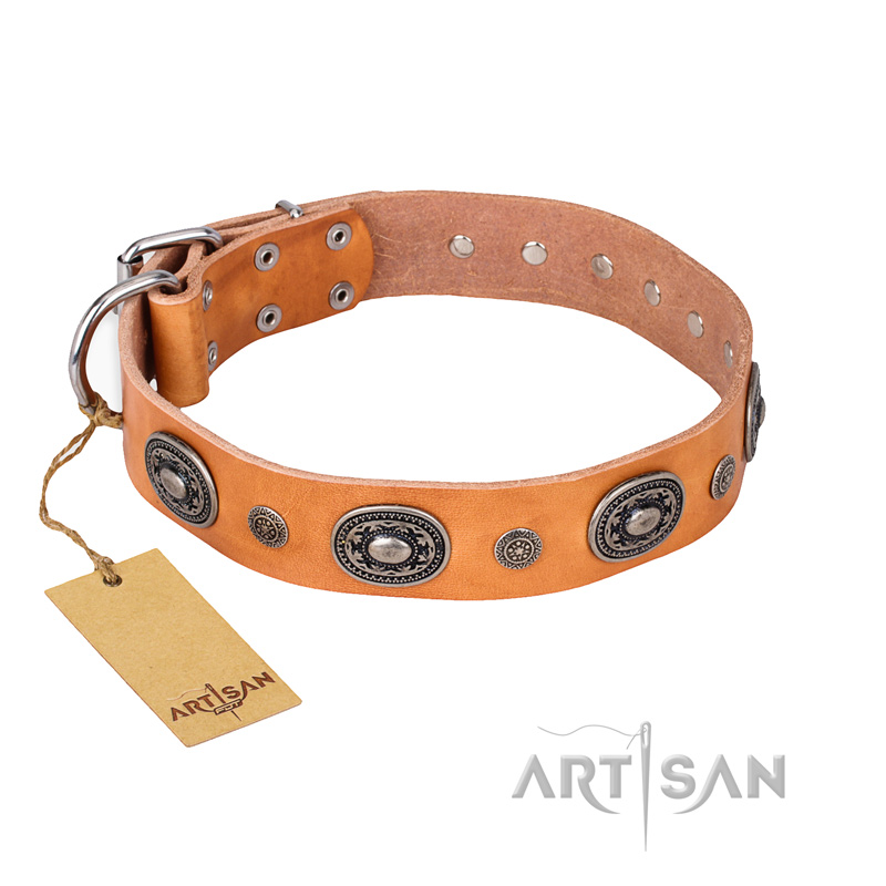 "Twinkle Twinkle" FDT Artisan Incredible Studded Tan Leather Sharpei Collar - Click Image to Close