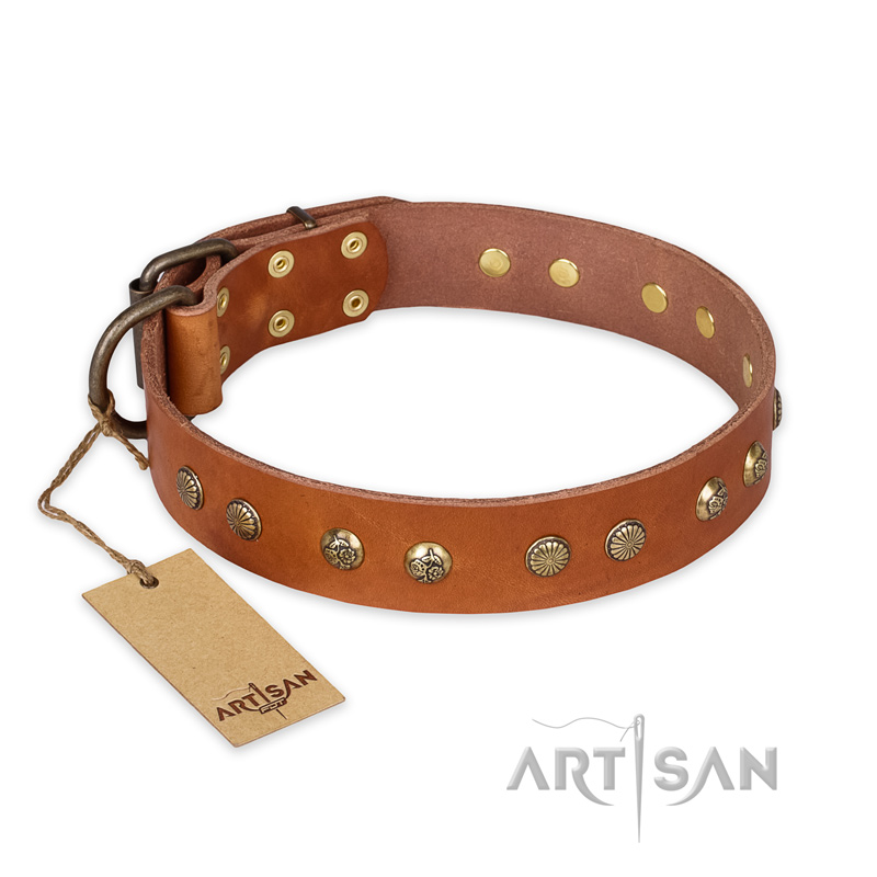 "Spring Flavor" FDT Artisan Adorned Leather Sharpei Collar with Old Bronze-Plated Engraved Studs