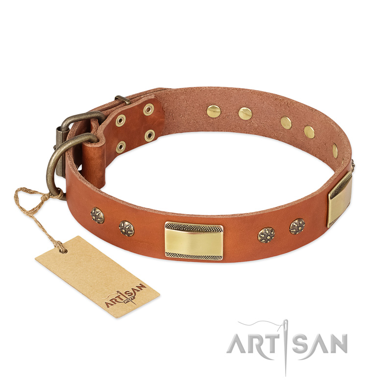 "Enchanting Spectacle" FDT Artisan Tan Leather Sharpei Collar with Old Bronze Look Plates and Round Studs