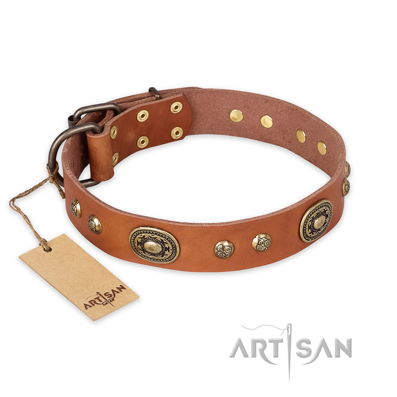 "Stunning Dress" FDT Artisan Tan Leather Sharpei Collar with Old Bronze Look Plates and Studs