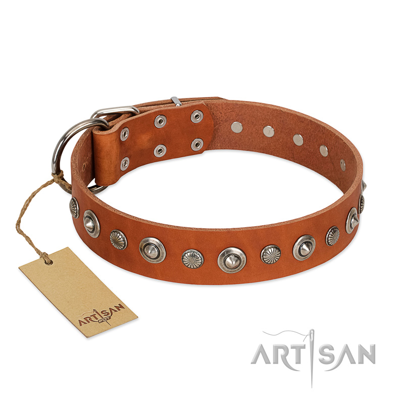 "Gorgeous Roundie" FDT Artisan Tan Leather Sharpei Collar with Chrome-plated Circles
