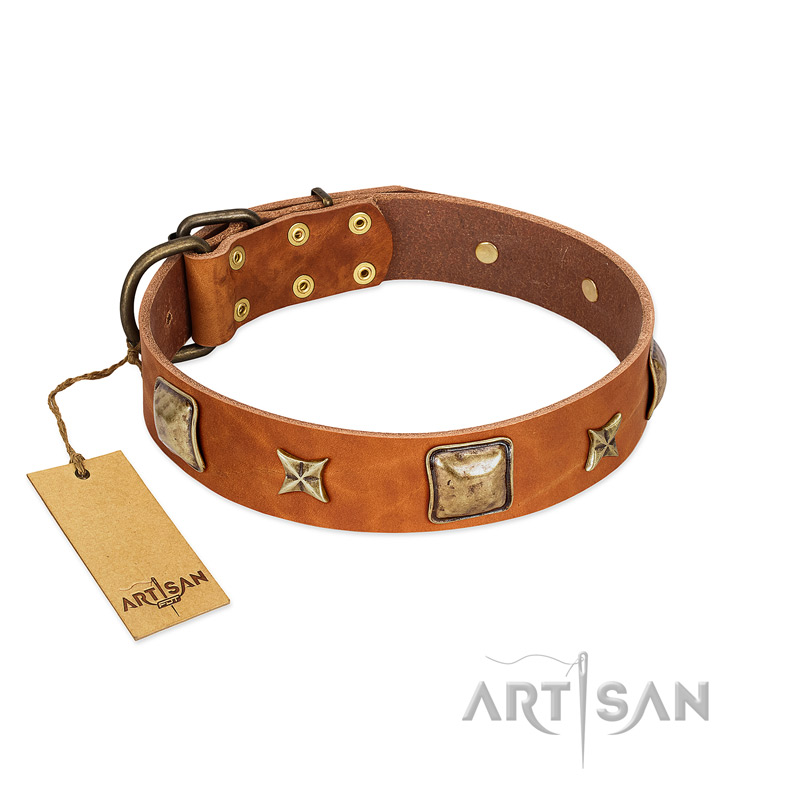 "Celtic Tunes" FDT Artisan Tan Leather Sharpei Collar Adorned with Stars and Squares