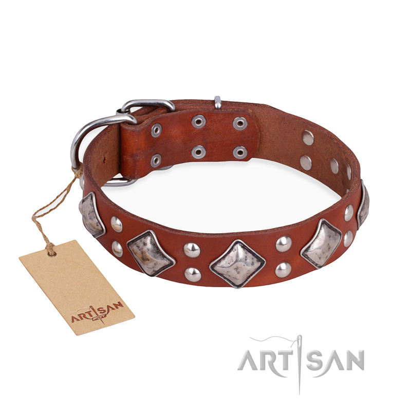 "Magic Squares" FDT Artisan Tan Leather Sharpei Collar with Silver-like Decor
