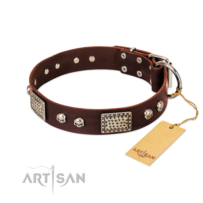 "Pirate Skull" FDT Artisan Brown Leather Sharpei Collar with Old Silver Look Plates and Skulls