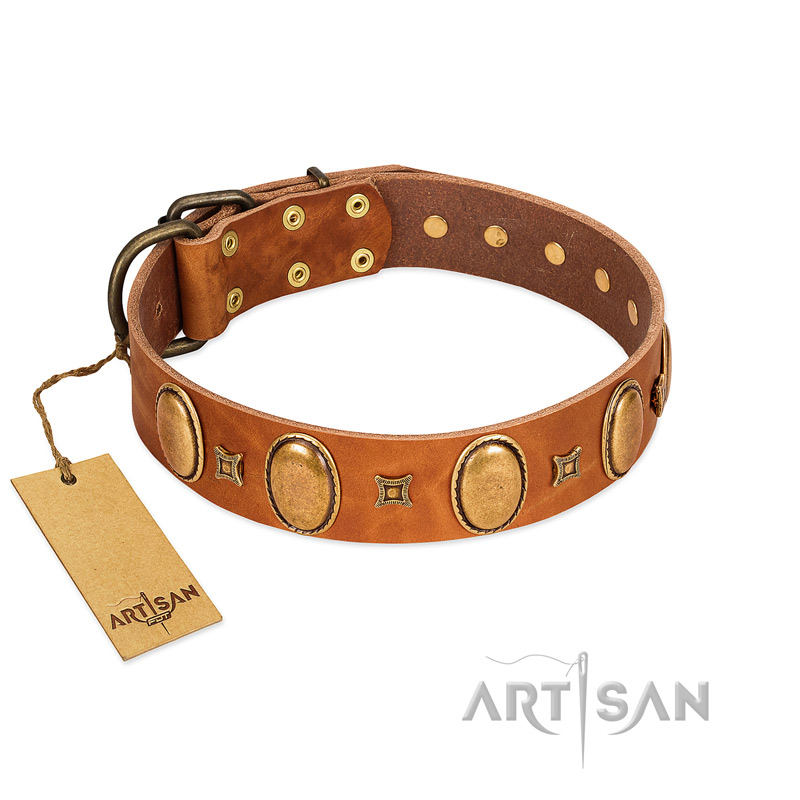 "Glossy Autumn" Designer Handmade FDT Artisan Tan Leather Sharpei Collar with Ovals and Studs