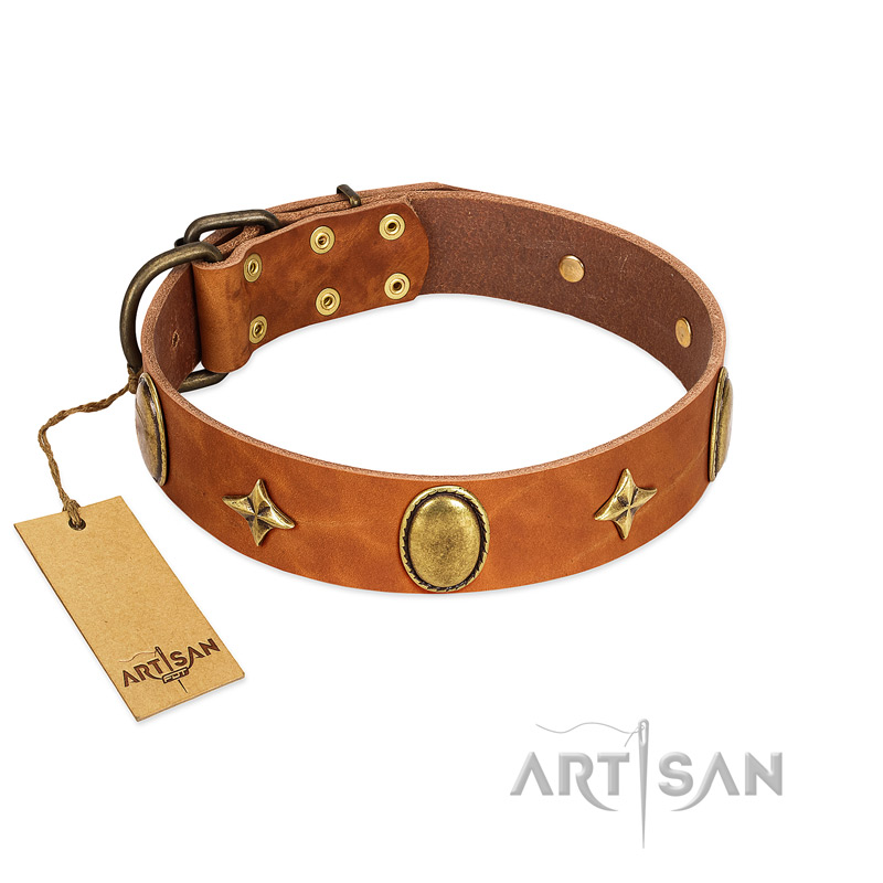 "Space Warrior" FDT Artisan Tan Leather Sharpei Collar with Ovals and Stars