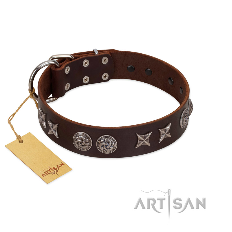 "Silver Sunset" Designer Handmade FDT Artisan Brown Leather Sharpei Collar