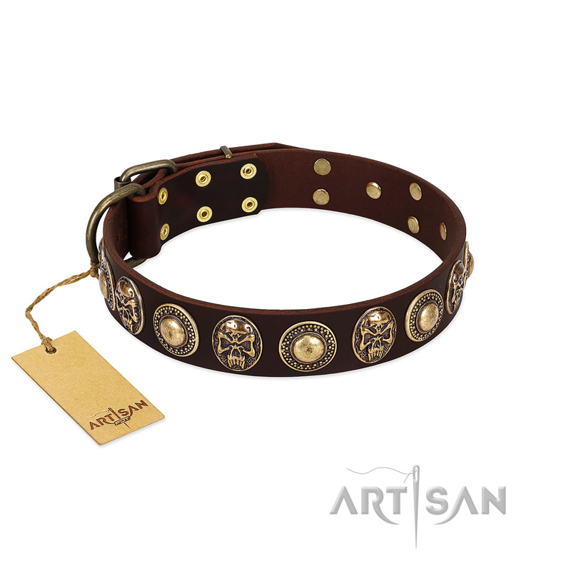 "Caribbean Treasures" FDT Artisan Brown Leather Dog Collar with Old-Bronze-like Conchos and Medallions with Skulls - Click Image to Close