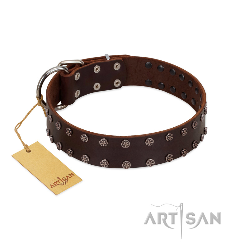 "Star Party" Handmade FDT Artisan Brown Leather Sharpei Collar with Silver-Like Studs - Click Image to Close