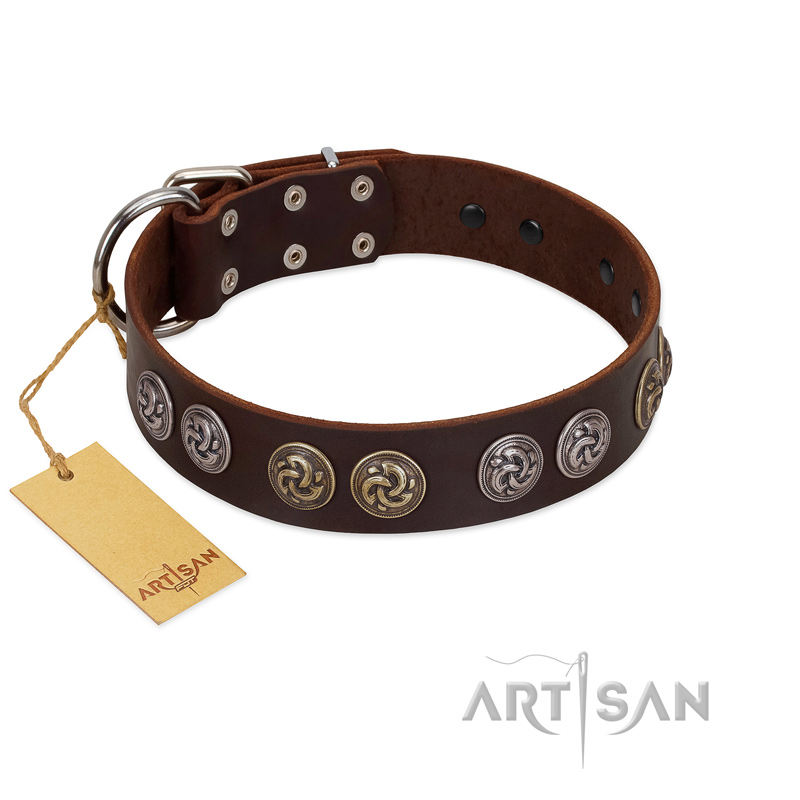"Treasure Hunter" FDT Artisan Brown Leather Sharpei Collar with Old-Bronze-like and Silvery Medallions