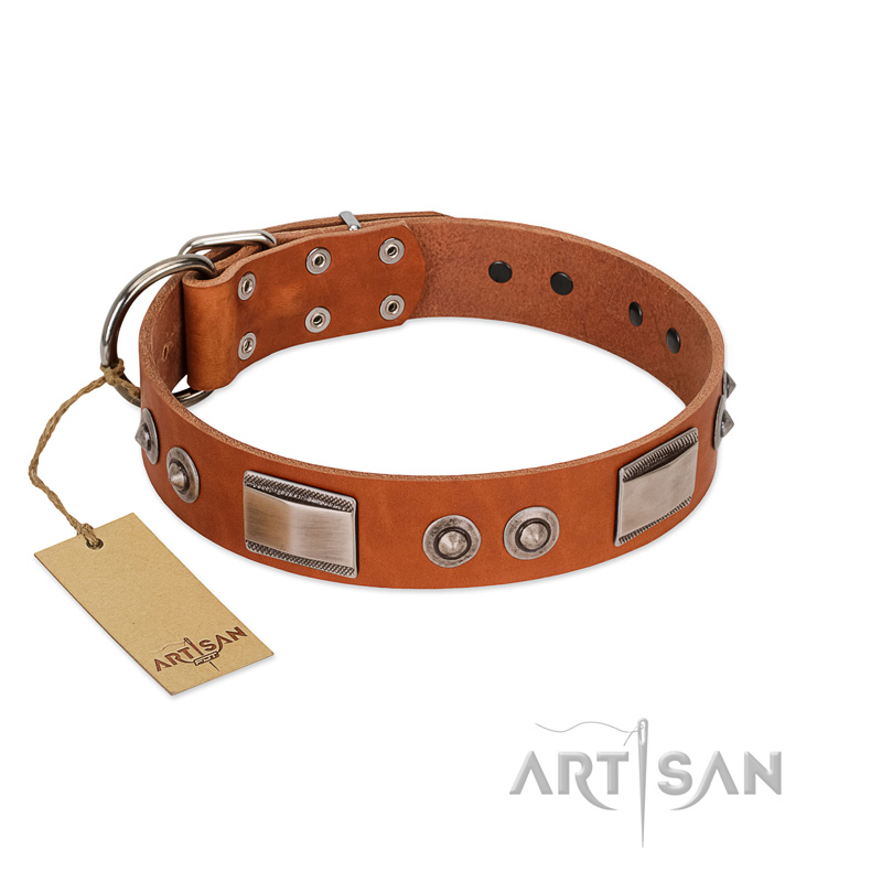 "Pawsy Glossy" FDT Artisan Exclusive Tan Leather Sharpei Collar 1 1/2 inch (40 mm) wide