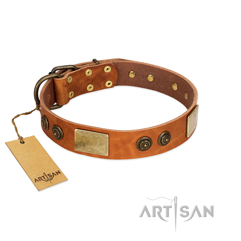 "Bronze Century" FDT Artisan Tan Leather Sharpei Collar with Plates and Brooches with Cool Ornament
