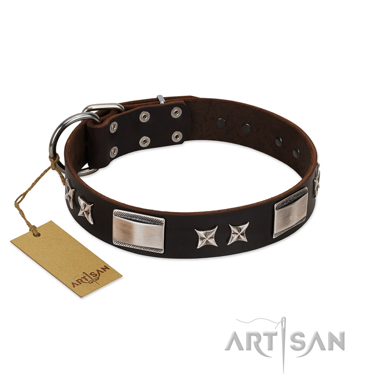 "Satin Beauts" FDT Artisan Brown Leather Sharpei Collar with Stars and Plates