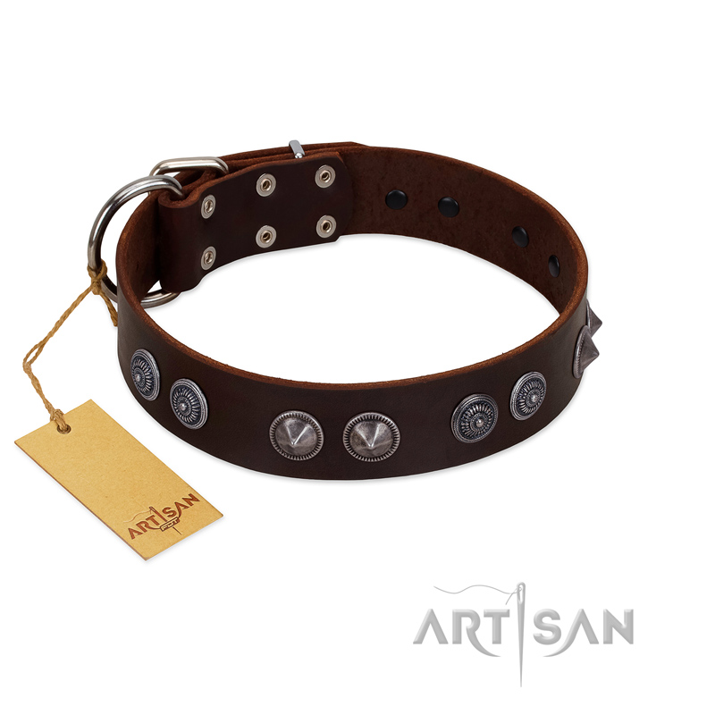 "King Arthur" FDT Artisan Brown Leather Sharpei Collar with Spiky Plates
