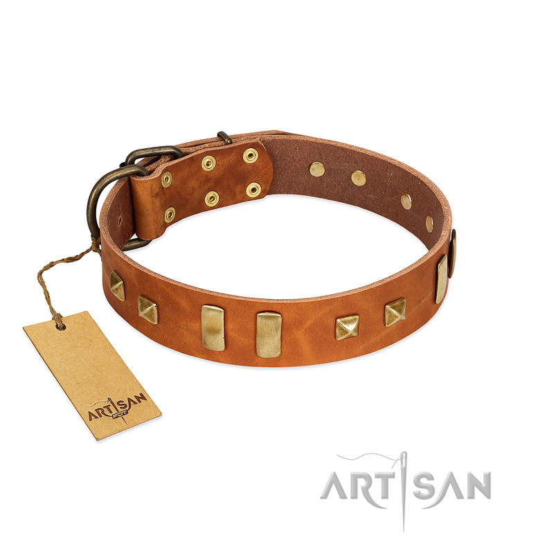 "Sand of Time" FDT Artisan Tan Leather Sharpei Collar with Old Bronze-like Studs and Plates