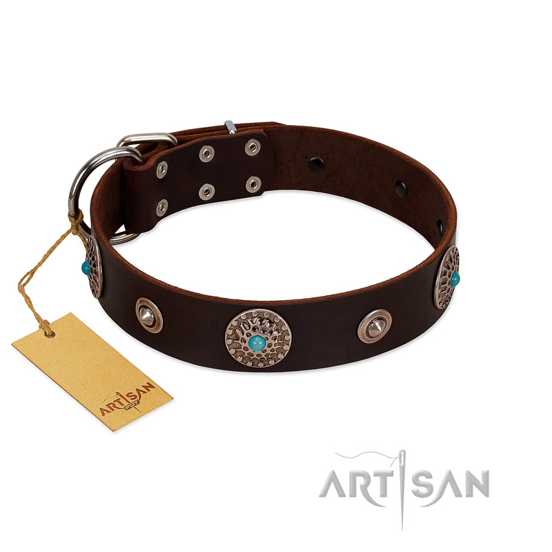 "Magic Stones" FDT Artisan Brown Leather Sharpei Collar with Chrome Plated Brooches and Studs