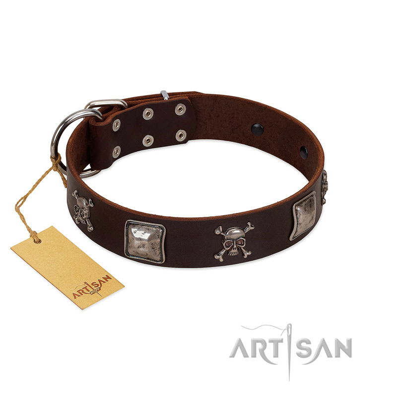 "Nut-Brown Finery" Embellished FDT Artisan Brown Leather Sharpei Collar with Chrome Plated Crossbones and Plates