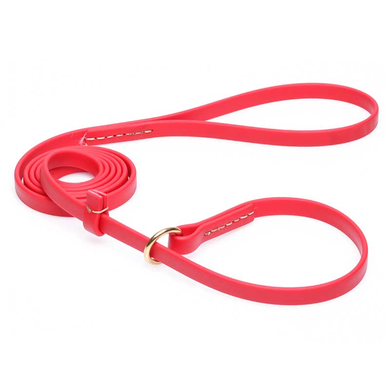 Durable Red Biothane Sharpei Leash and Collar Combo