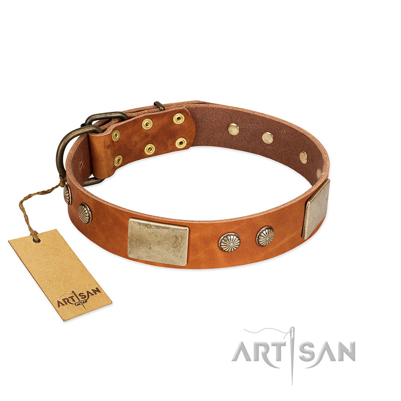 "Ancient Treasures" FDT Artisan Tan Leather Sharpei Collar with Antiqued Plates and Studs
