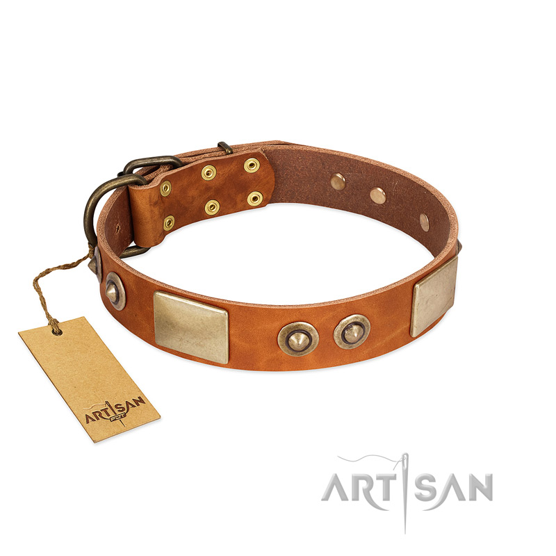 "Perfect Blend" FDT Artisan Tan Leather Sharpei Collar 1 1/2 inch (40 mm) wide