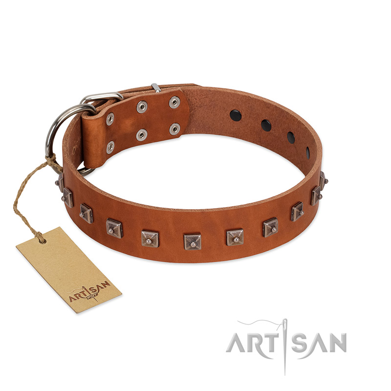 "Guard of Honour " Designer FDT Artisan Tan Leather Sharpei Collar with Small Dotted Pyramids