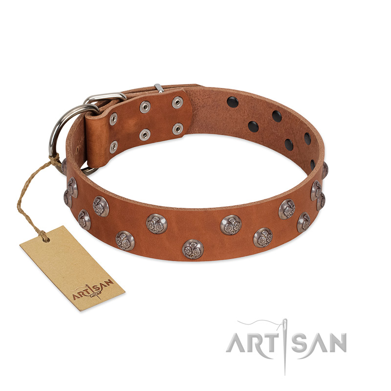 "Waltz of the Flowers" Handmade FDT Artisan Tan Leather Sharpei Collar with Chrome-plated Engraved Studs