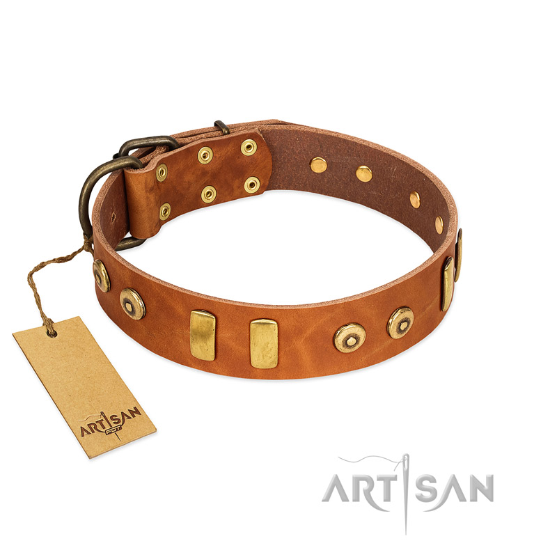 "Egyptian Script" FDT Artisan Tan Leather Sharpei Collar with Plates and Small Studs