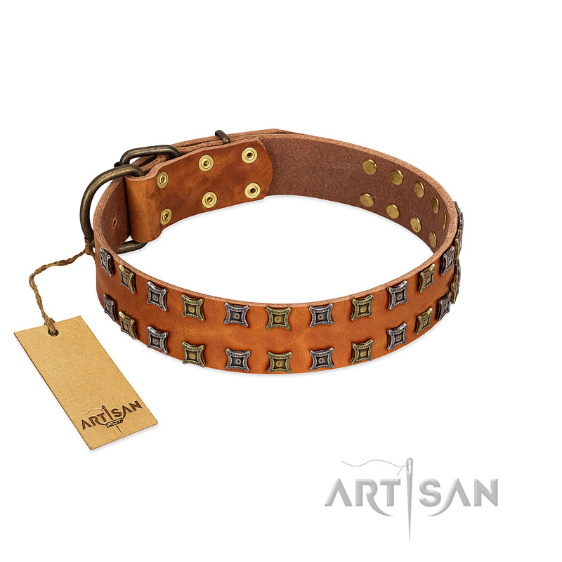 "Terra-cotta" FDT Artisan Tan Leather Sharpei Collar with Two Rows of Studs
