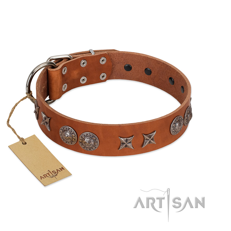 "Splendid Armor" Premium Quality FDT Artisan Tan Designer Sharpei Collar with Shields and Stars - Click Image to Close