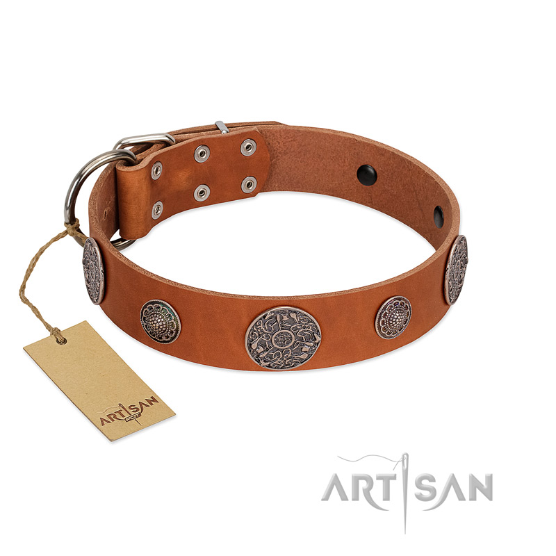 "Foxy Nature" FDT Artisan Tan Leather Sharpei Collar with Chrome Plated Brooches
