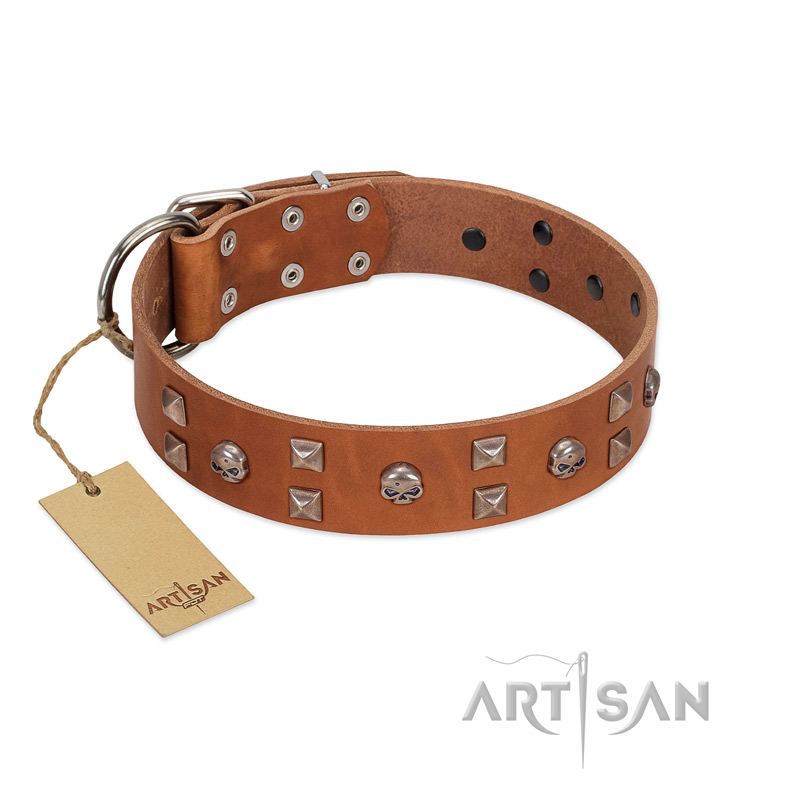 "Enchanted Skulls" FDT Artisan Tan Leather Sharpei Collar with Chrome Plated Skulls