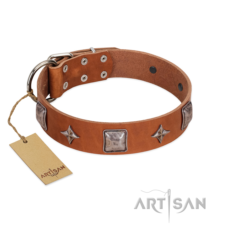 "Lucky Star" FDT Artisan Tan Leather Sharpei Collar with Silver-Like Embellishments
