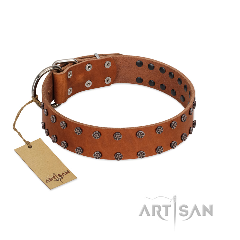 "Star Light" Stylish FDT Artisan Tan Leather Sharpei Collar with Silver-Like Studs