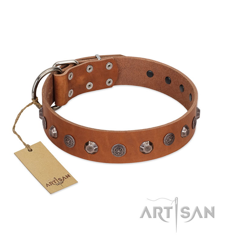 "Silver Age" Fashionable FDT Artisan Tan Leather Sharpei Collar with Silver-Like Studs